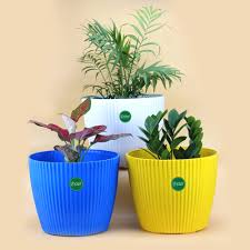 Pvc Pots 